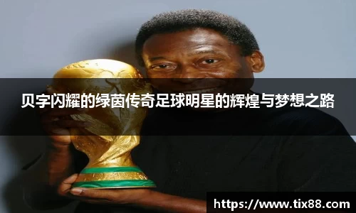 贝字闪耀的绿茵传奇足球明星的辉煌与梦想之路